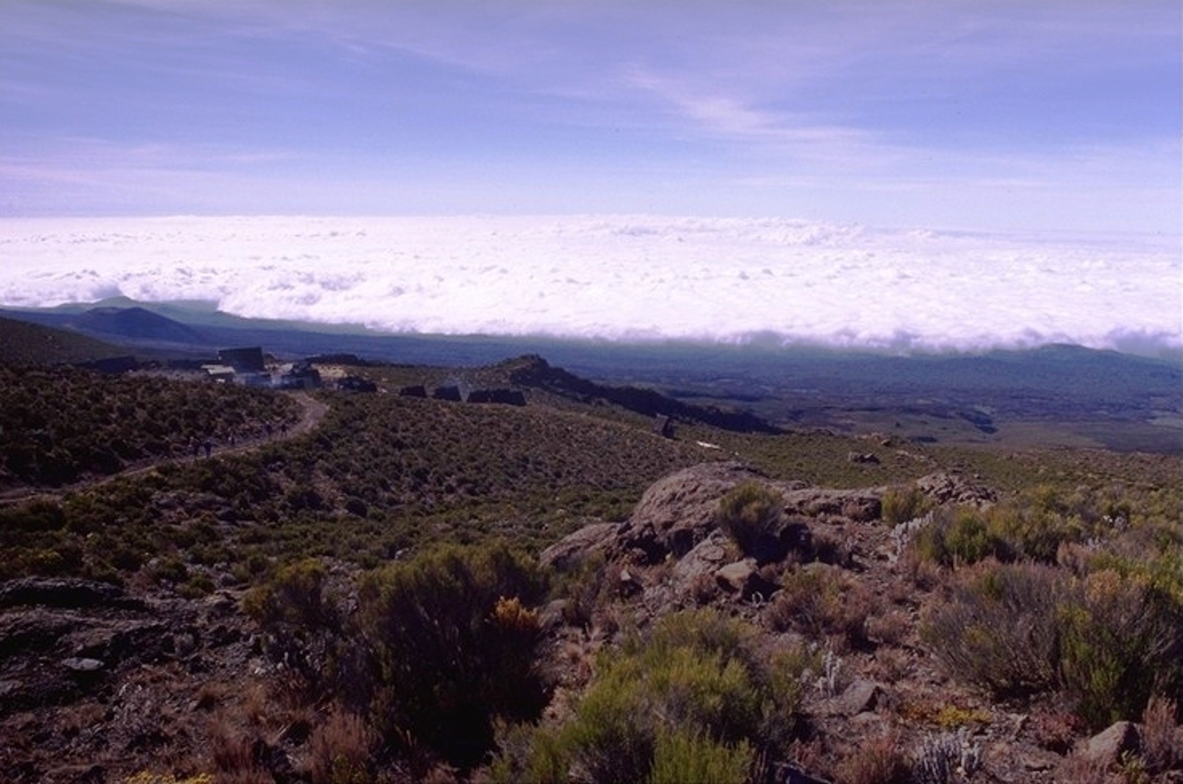 The Kilimanjaro landscape in Tanzania, East Africa.