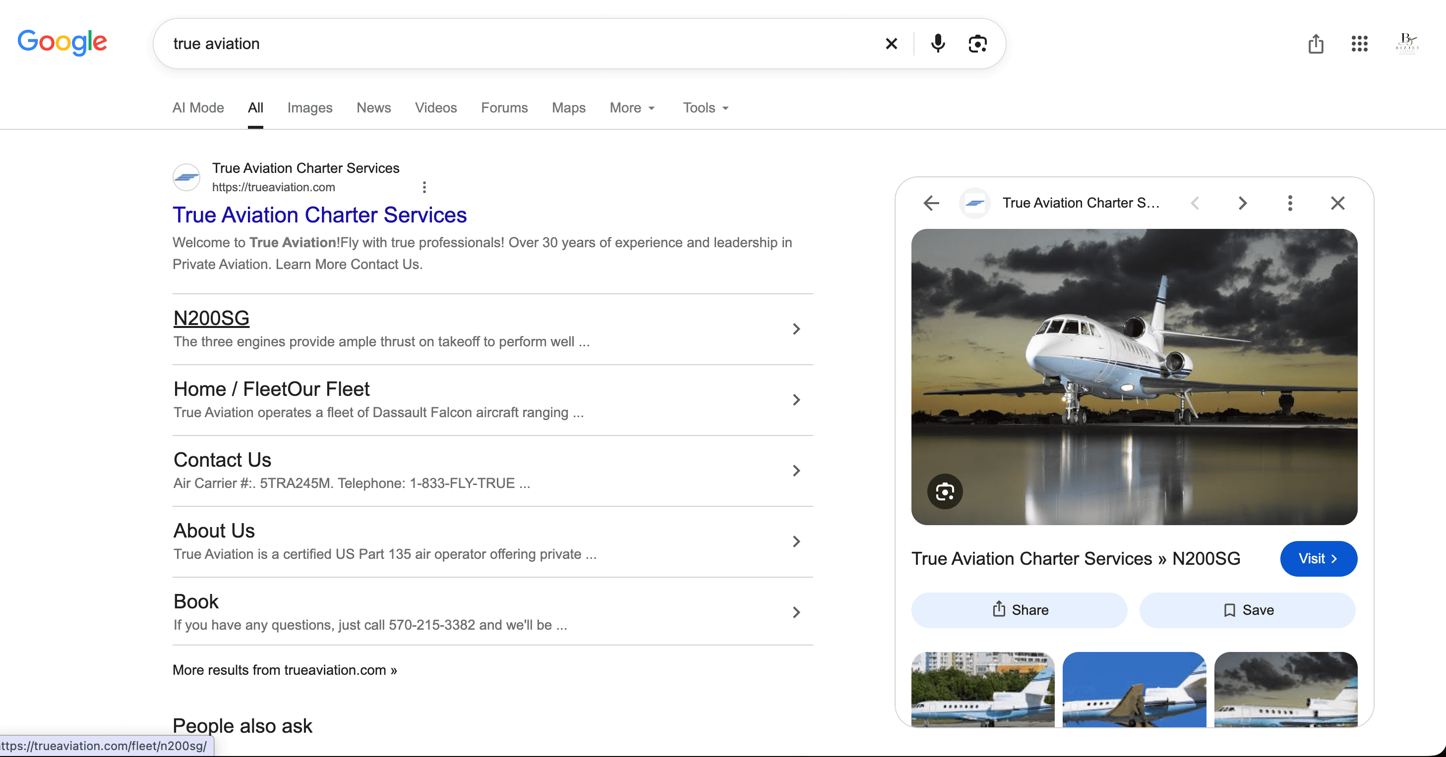 Screenshot from Google showing true Aviation (True Aviation Charter Services) listing N200SG on their fleet page