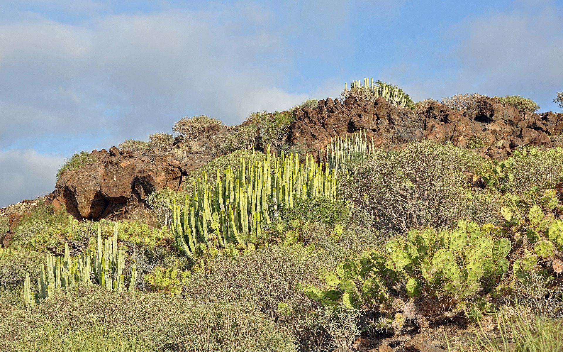 View of Tenerife