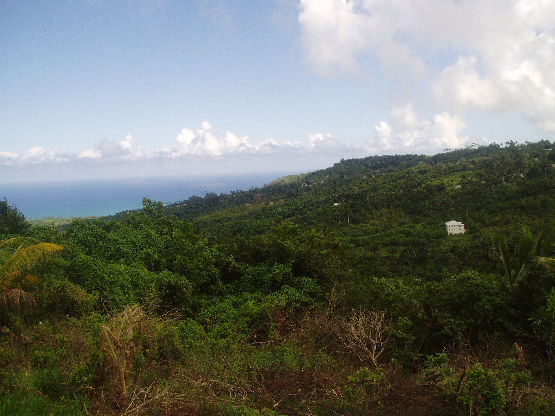 View of Barbados