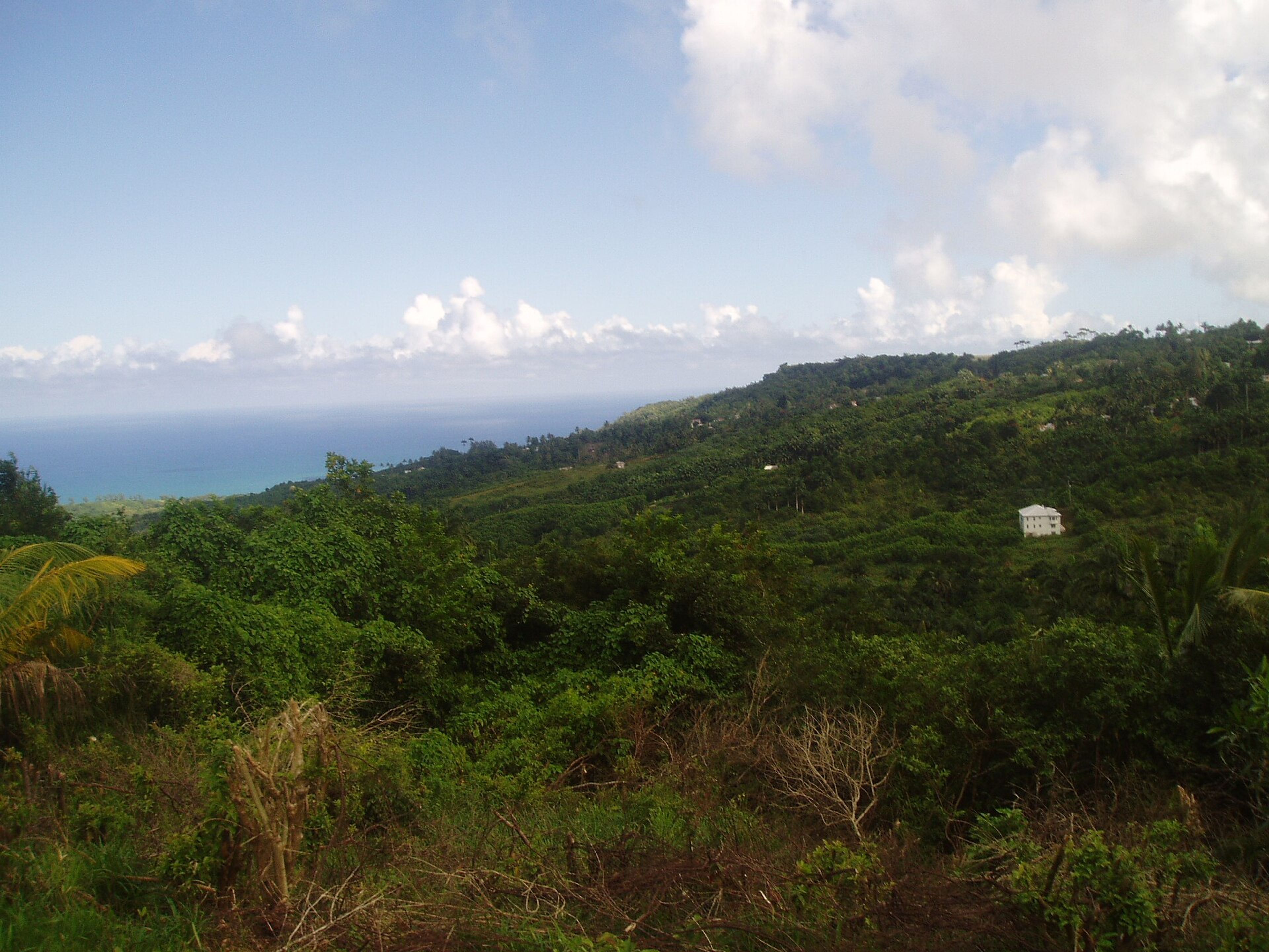 View of Barbados