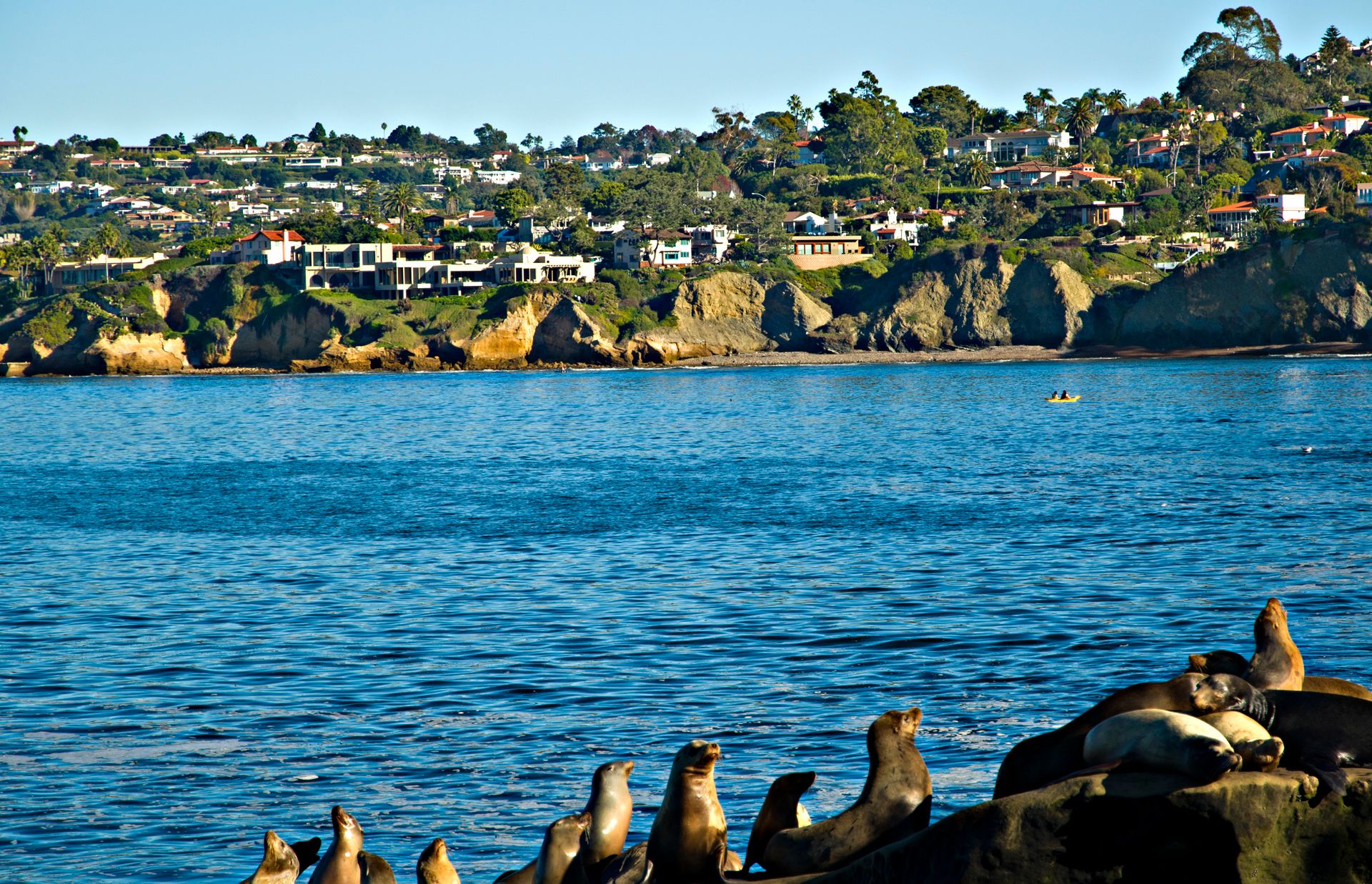 La Jolla's coastline in the San Diego area.