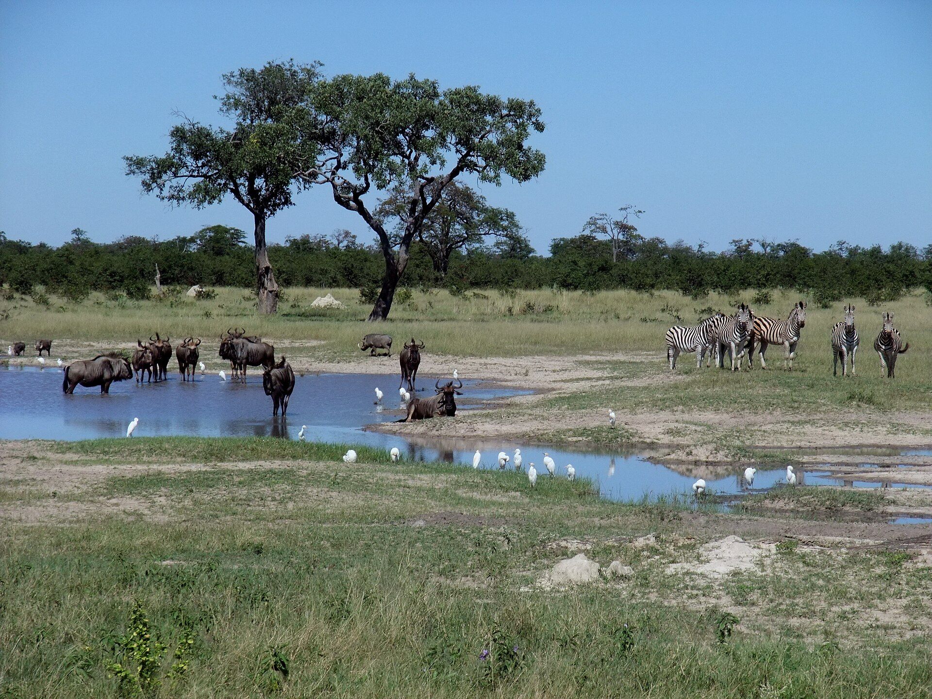 View of Chobe