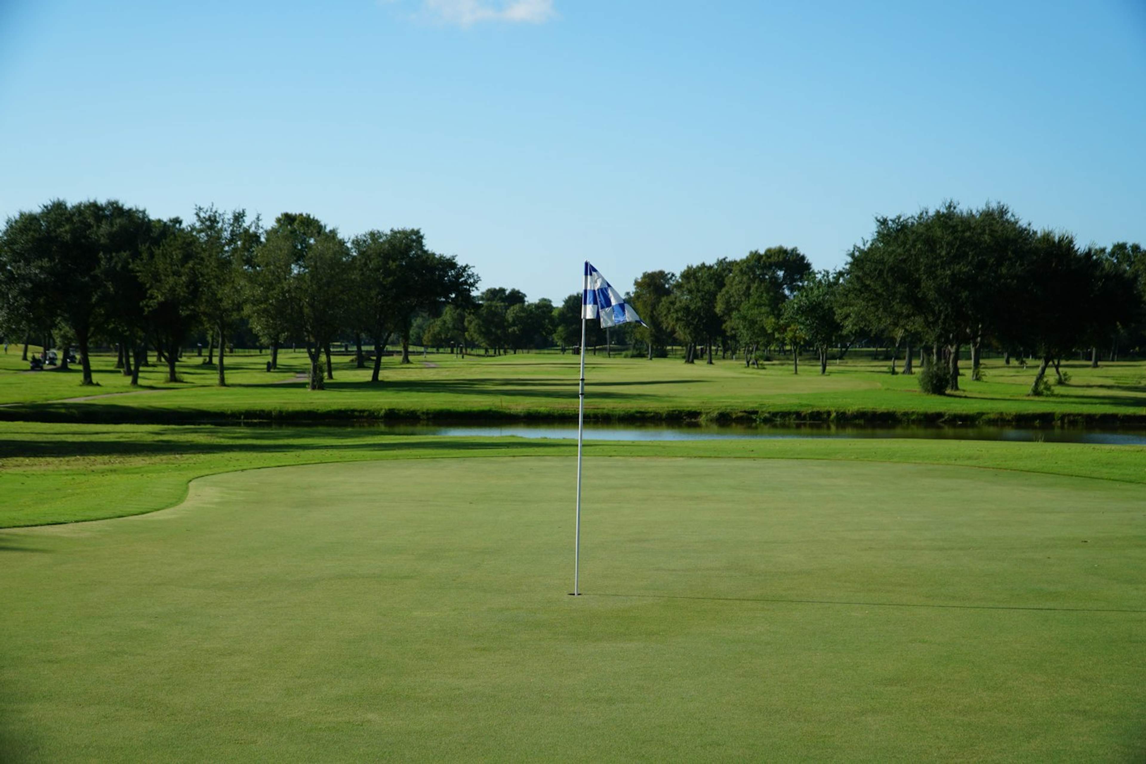 Green golf-course landscape with trees
