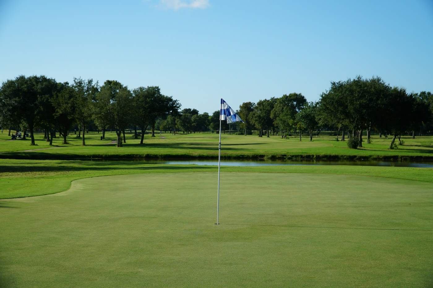 Green golf-course landscape with trees