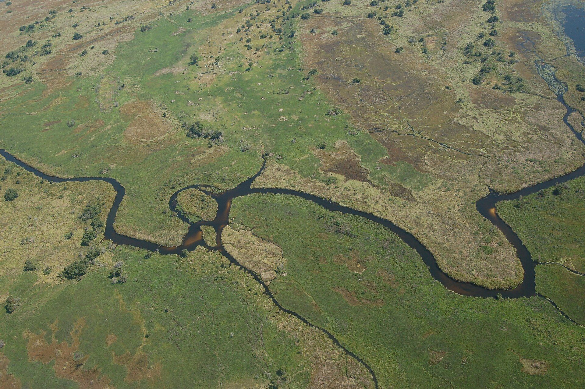 Waterways through Botswana's Okavango Delta.