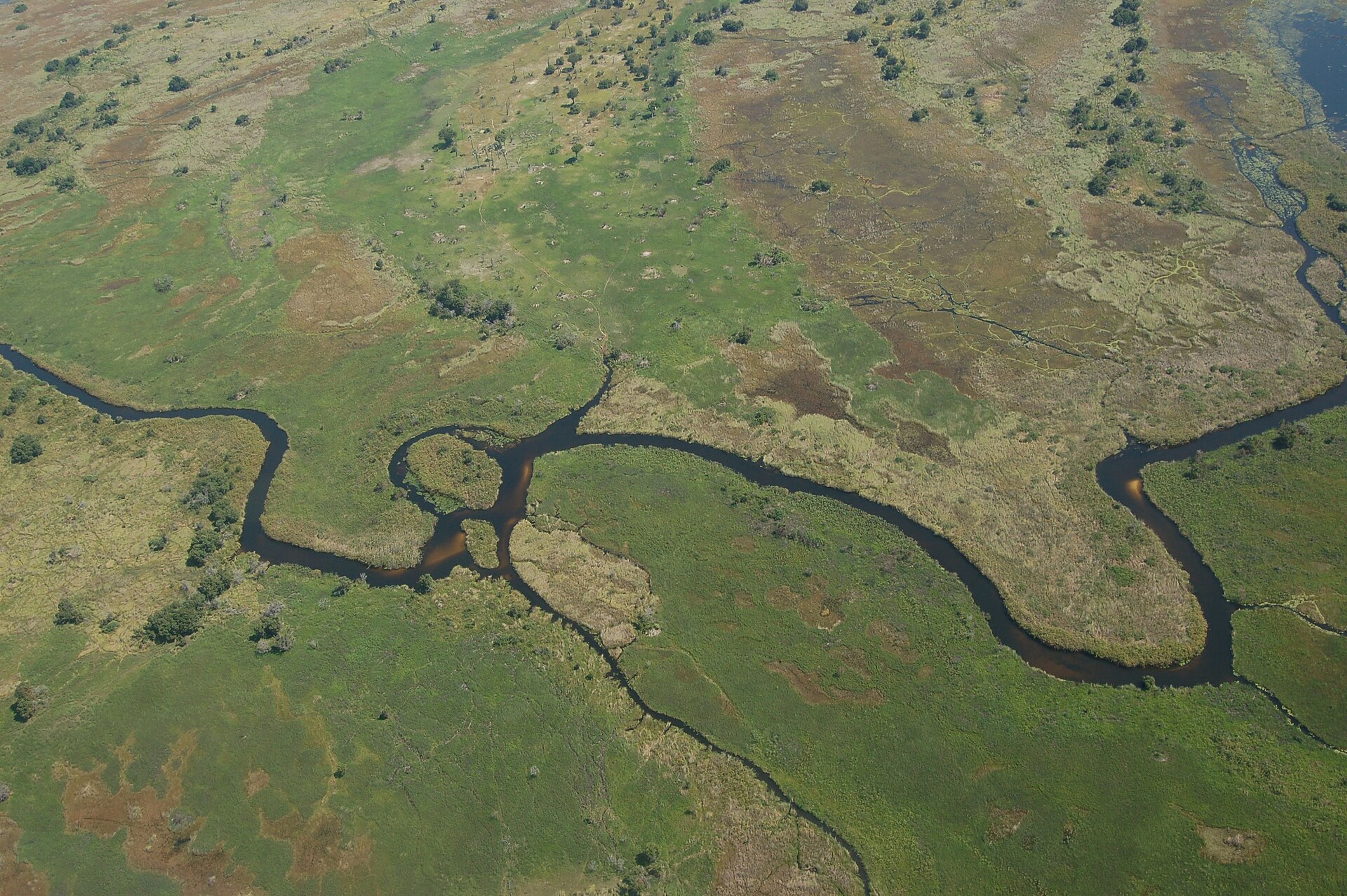 Waterways through Botswana's Okavango Delta.
