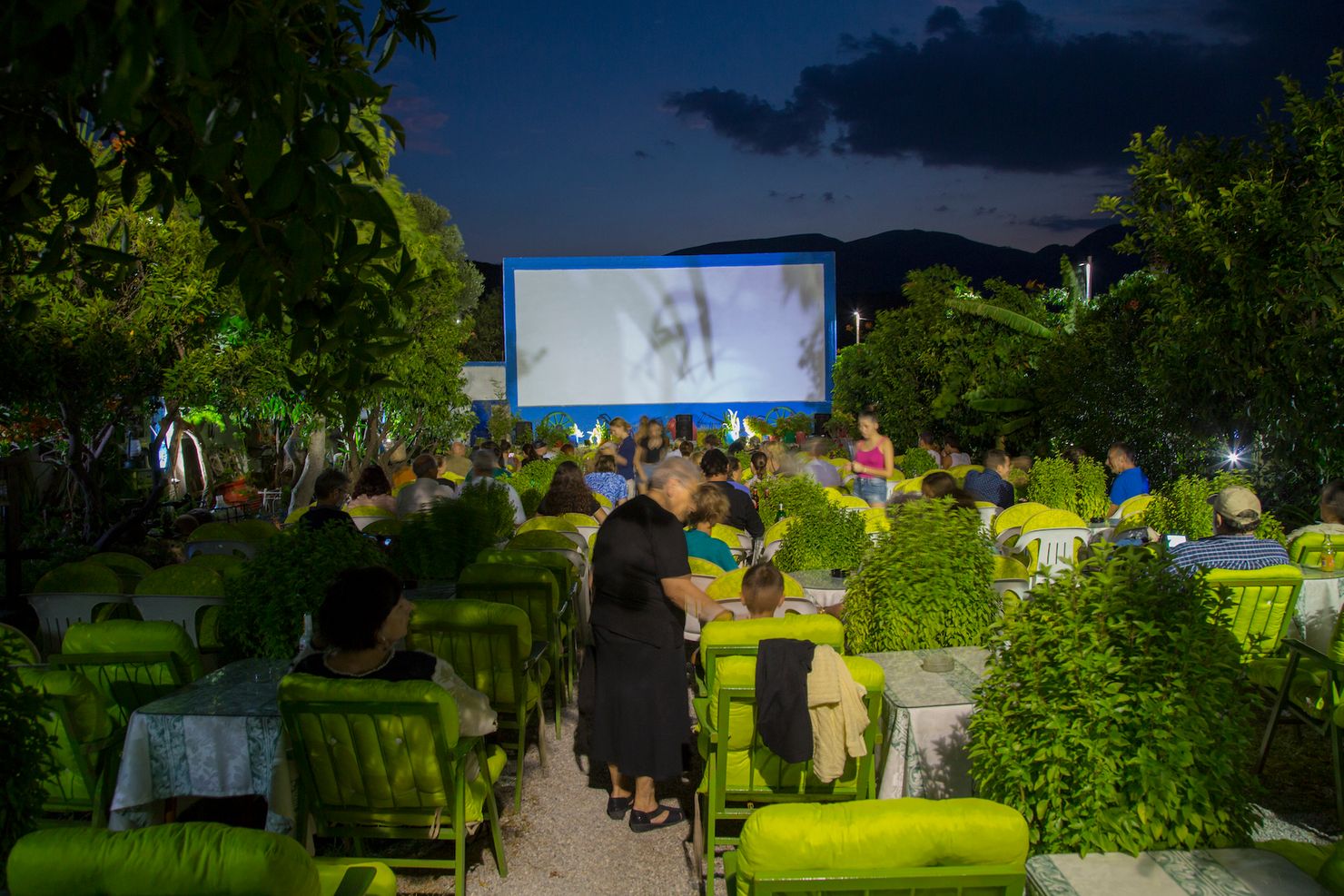 a narrow open-air cinema with seats place in between tall plants of basil and other flora. A large projection screen is at the back.