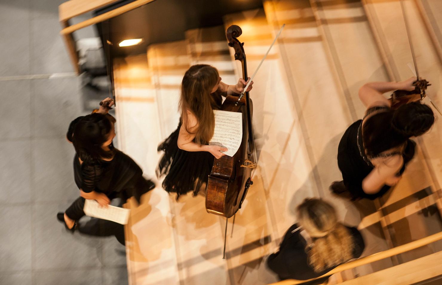 musicians moving up stairs with their instruments (cello, violin) in their hands photographed from above
