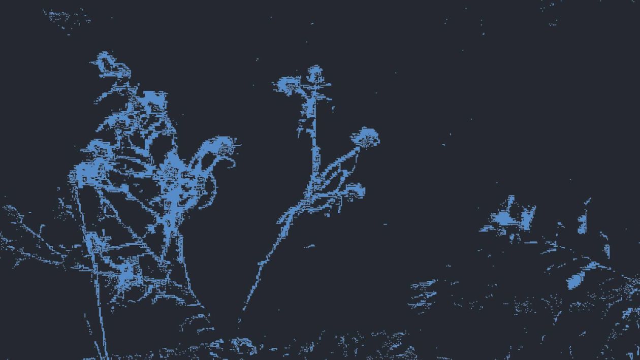 An abstract dark blue computer-generated visual of something that looks like flowers.
