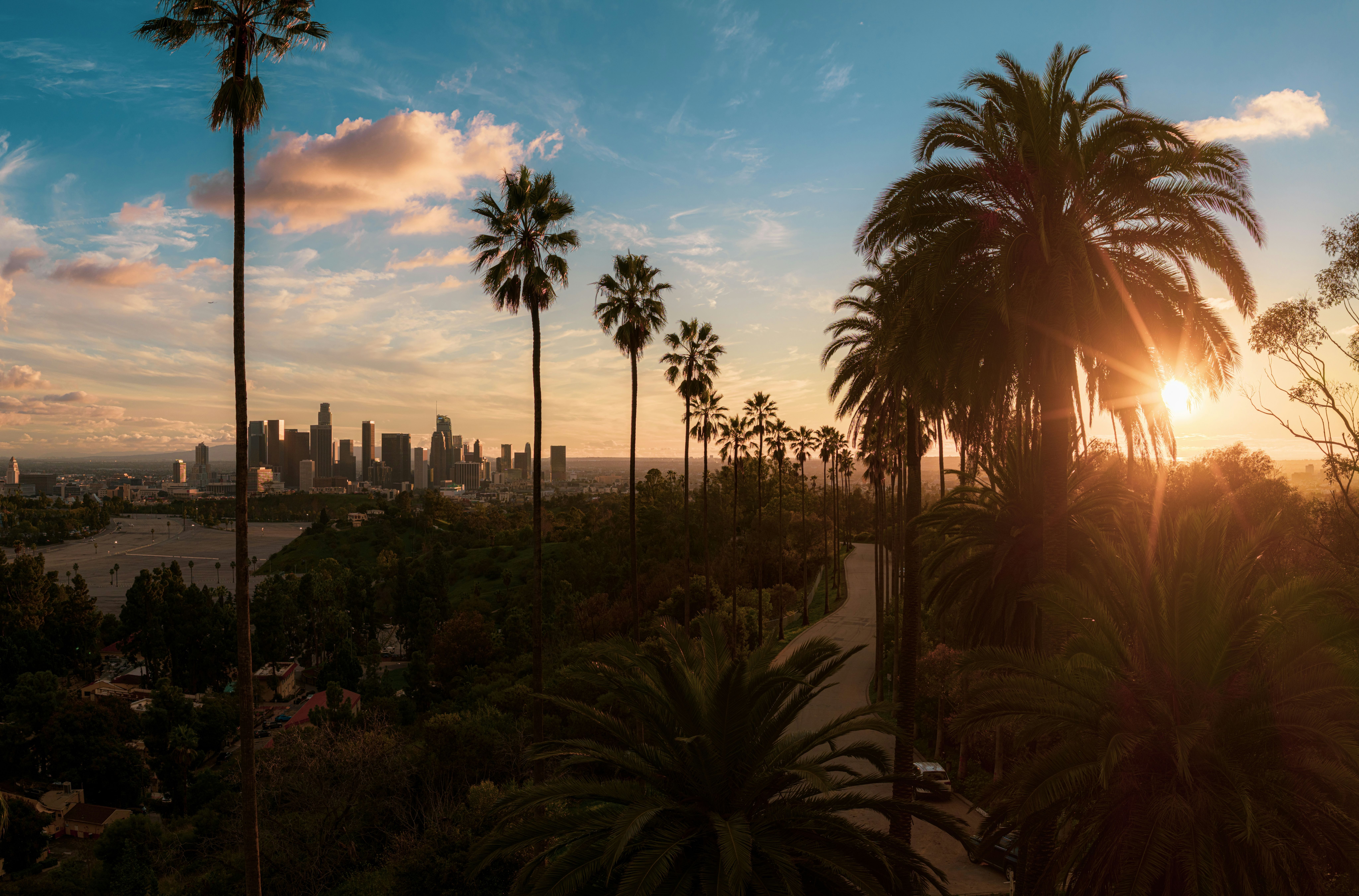 Palm trees framing the downtown Los Angeles skyline at sunset.