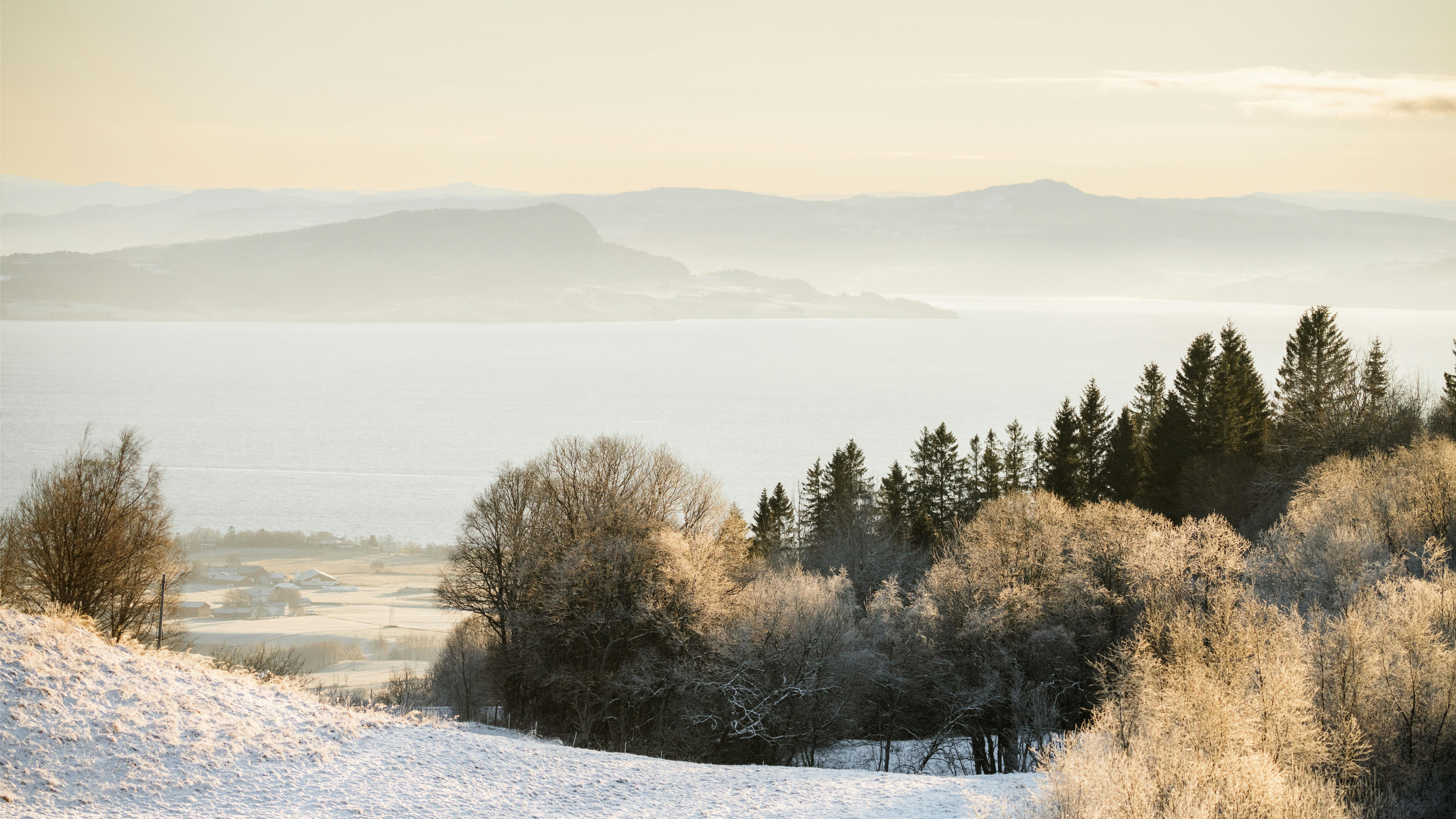 Bilde fra fjellheimen i Trondheim med snødekt skog og store fjell