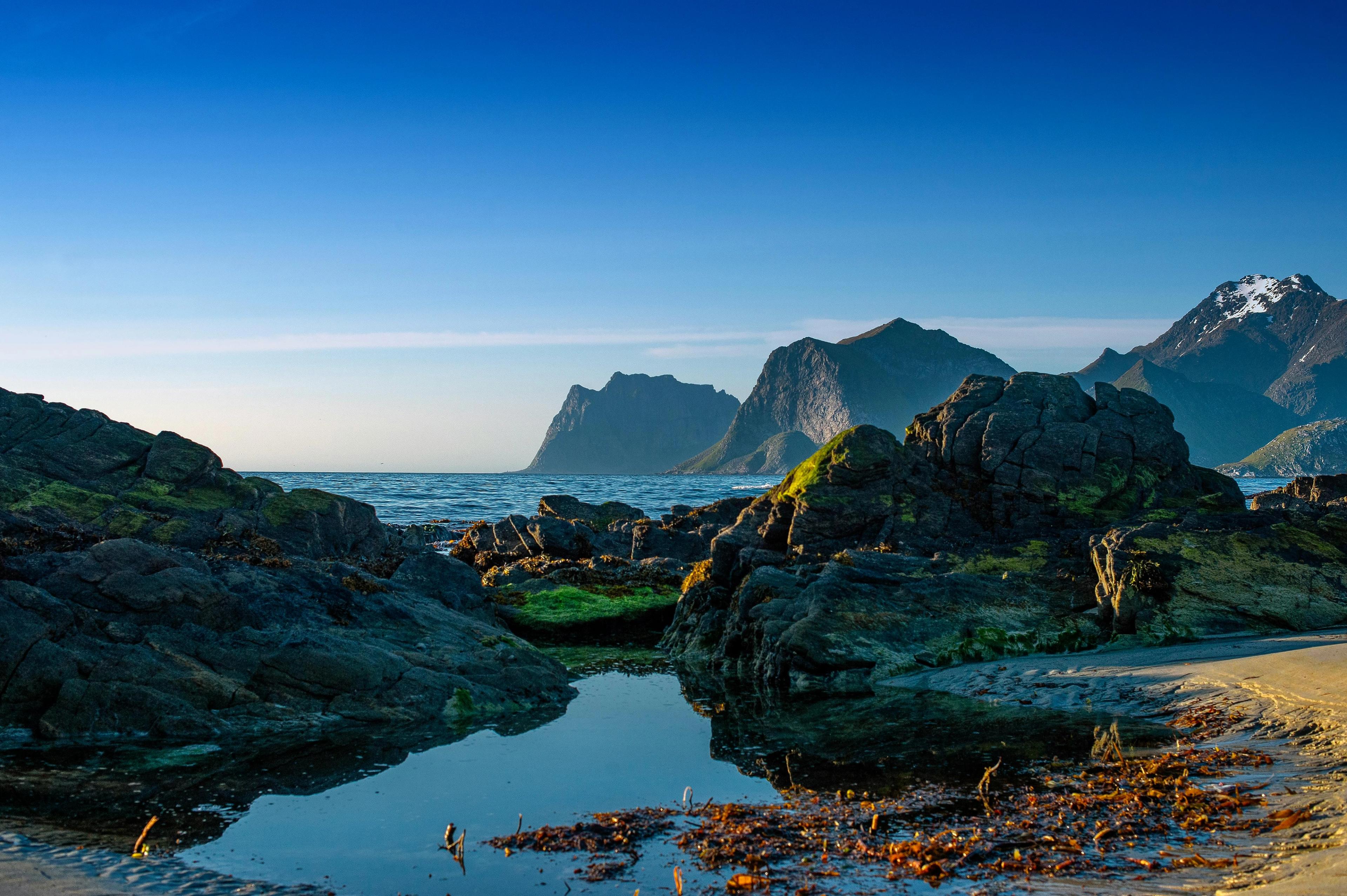 Mobilabonnement med Telia-dekning: Sammenlign billigste abonnement