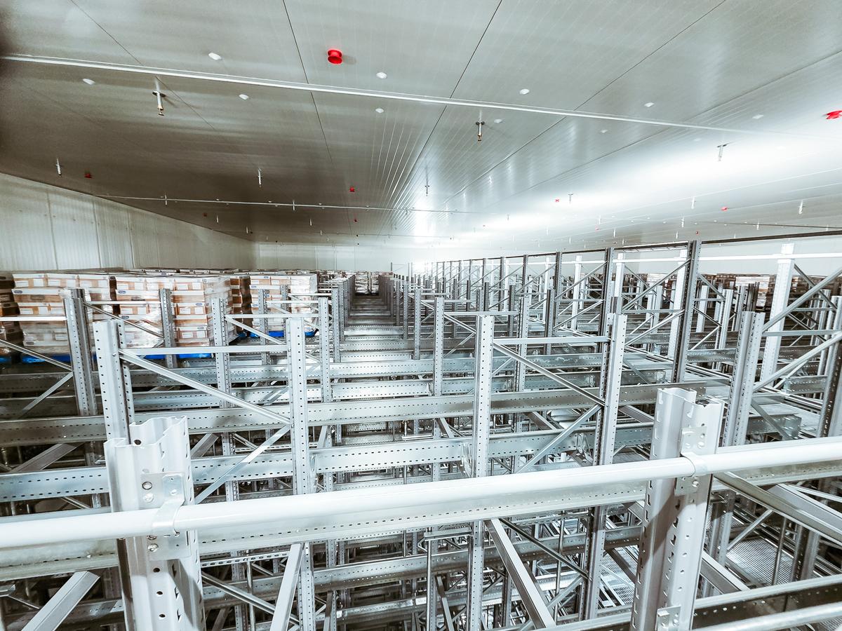 Freezer Fully Automated 4way Shuttle Australia