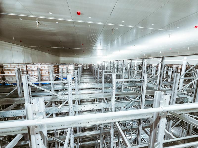 4-way shuttle automation NZ