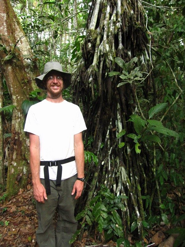 Madidi