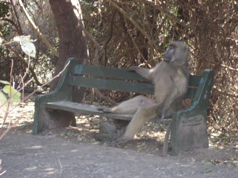 Vic Falls