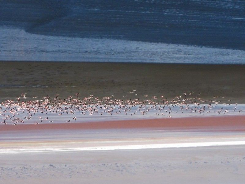 Uyuni