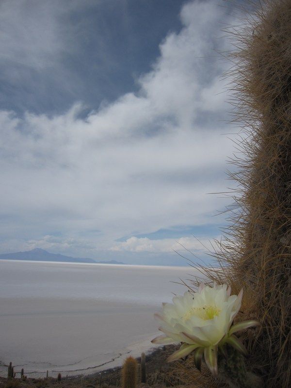 Uyuni