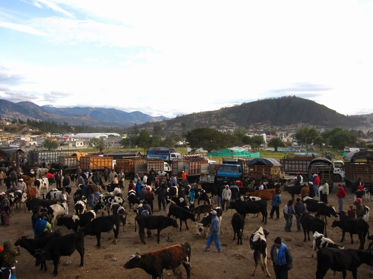 Otavalo