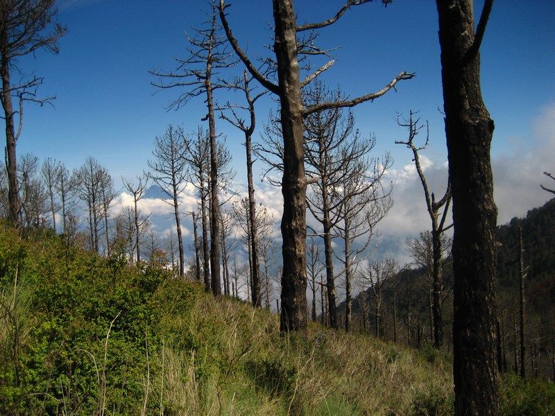 Volcano Fuego