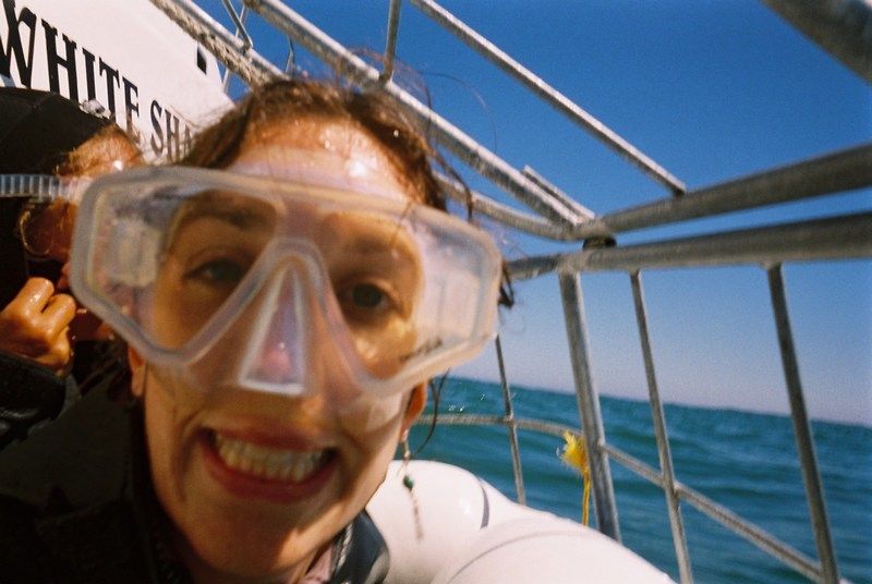 Shark Diving
