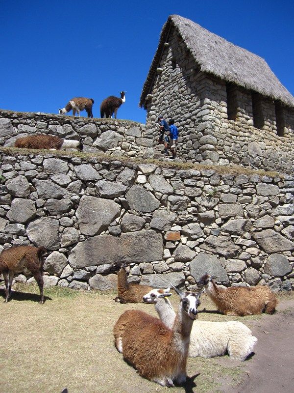Machu Picchu