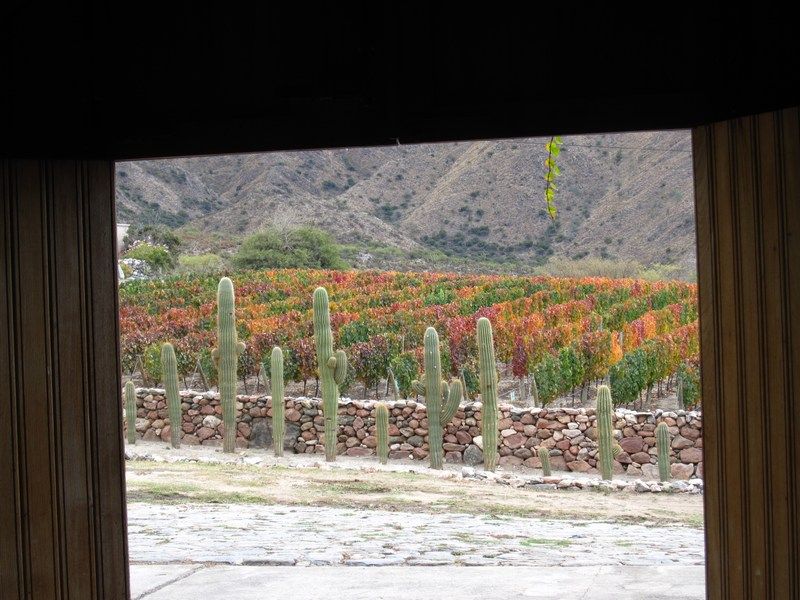 Cafayate