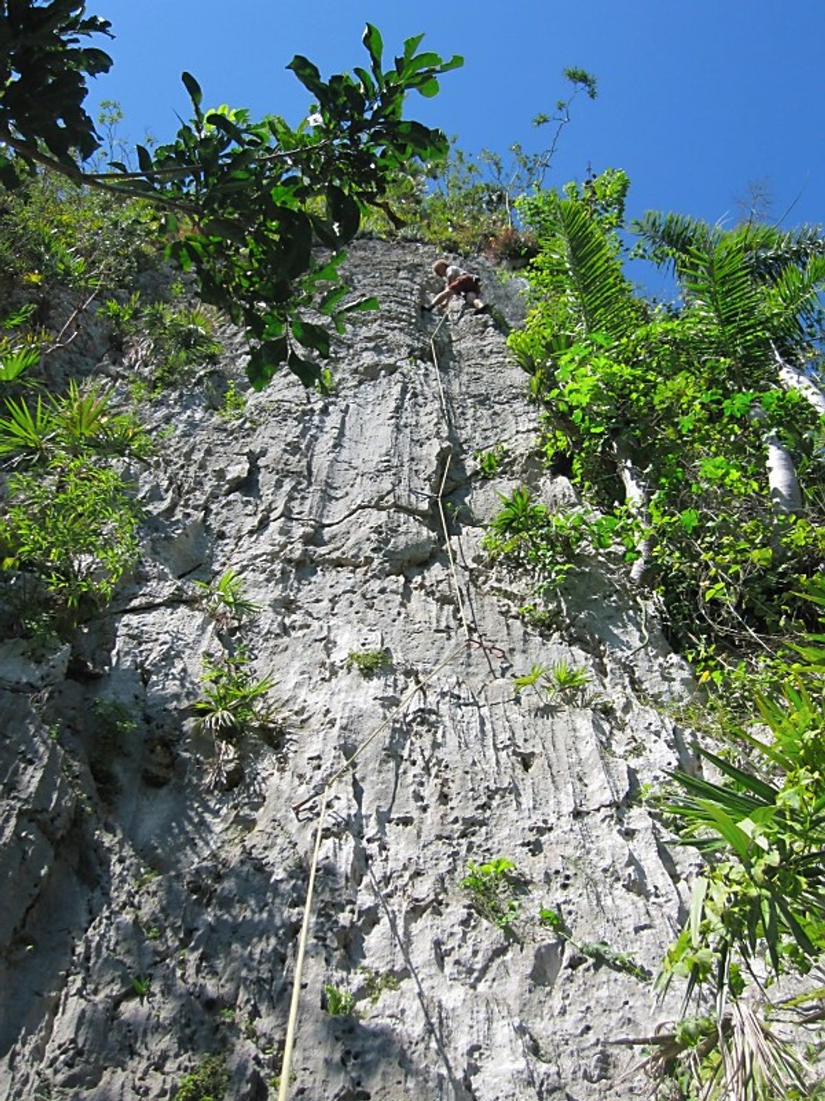 Climbing on the trip
