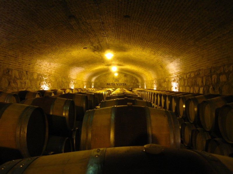 Mendoza Wine