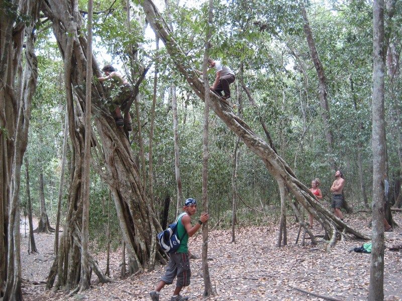 El Mirador