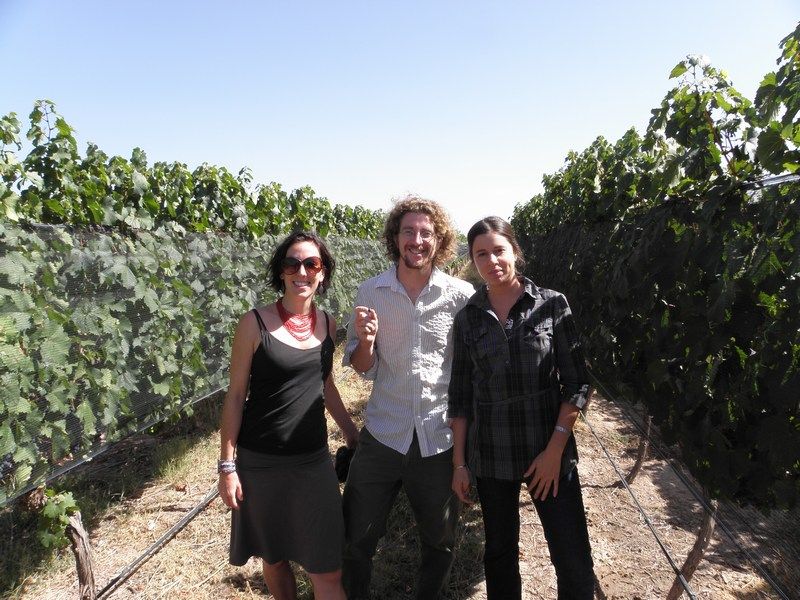 Wine Tour