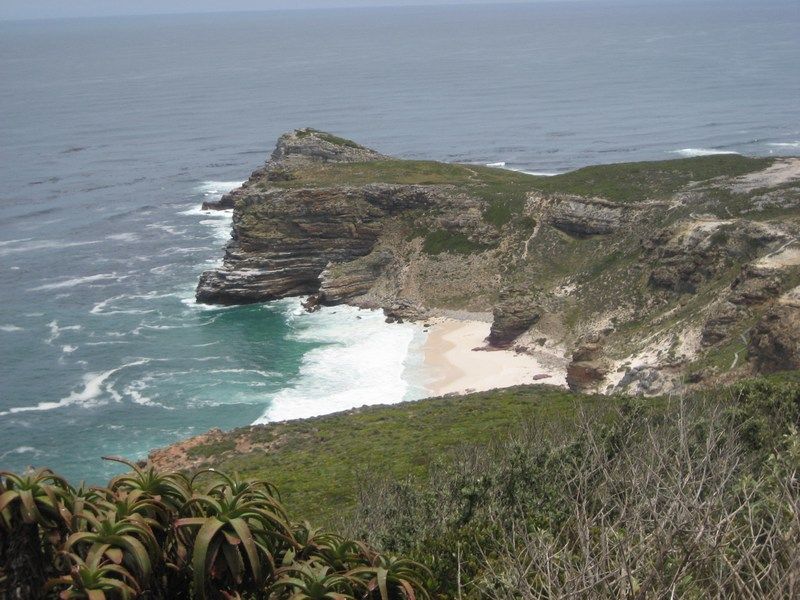Cape Point Trip