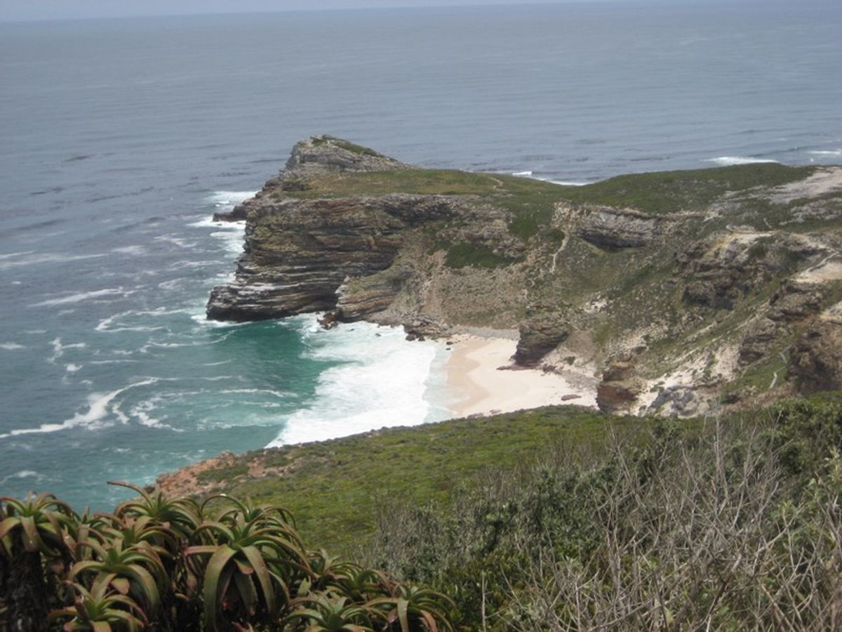 Cape Point Trip