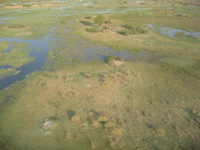 Okavango Delta