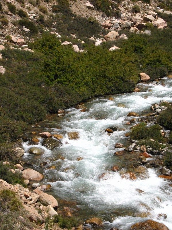 Fly Fishing Arroyo Grande