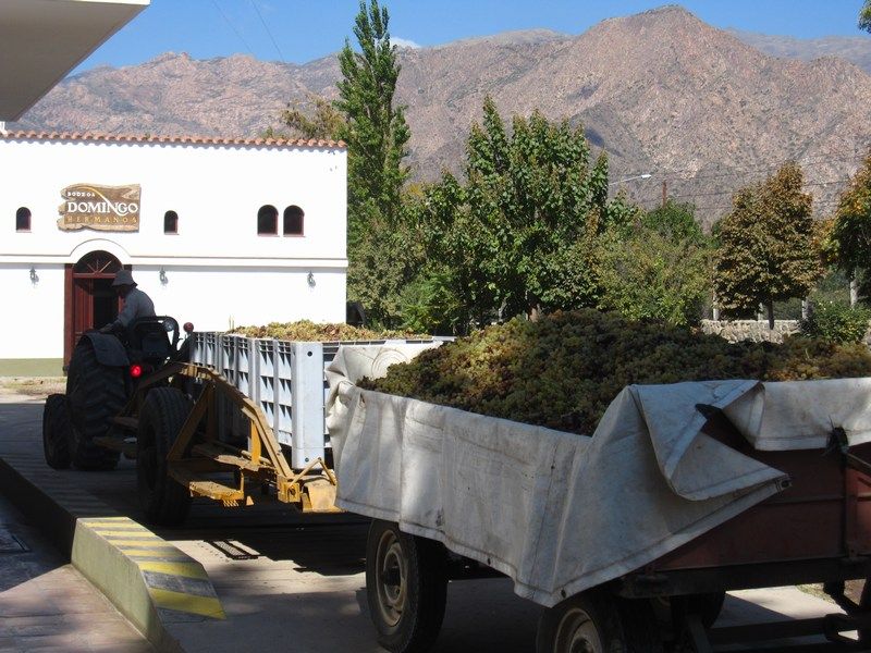 Cafayate