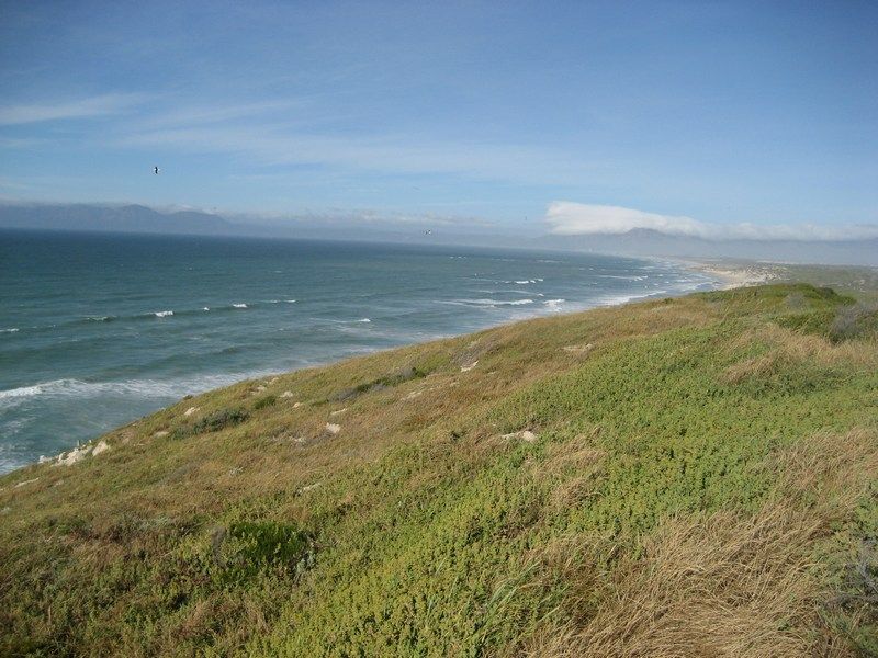 Cape Point Trip