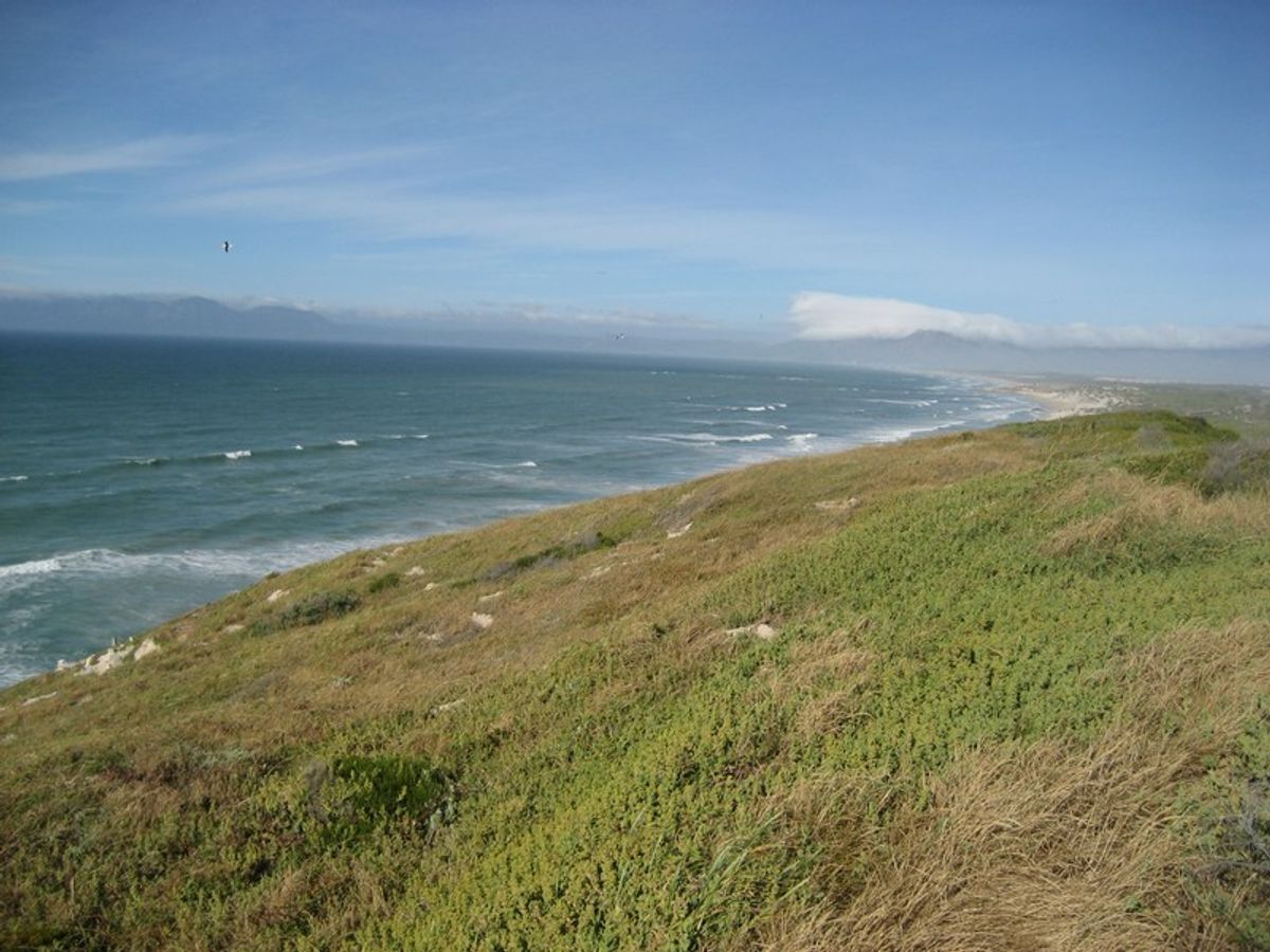Cape Point Trip