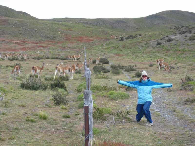 Torres del Paine