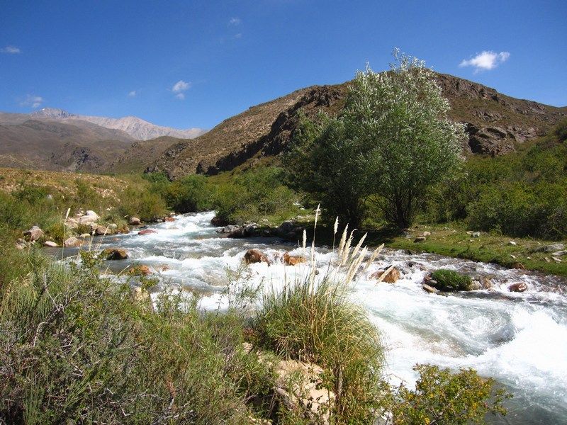 Fly Fishing Arroyo Grande