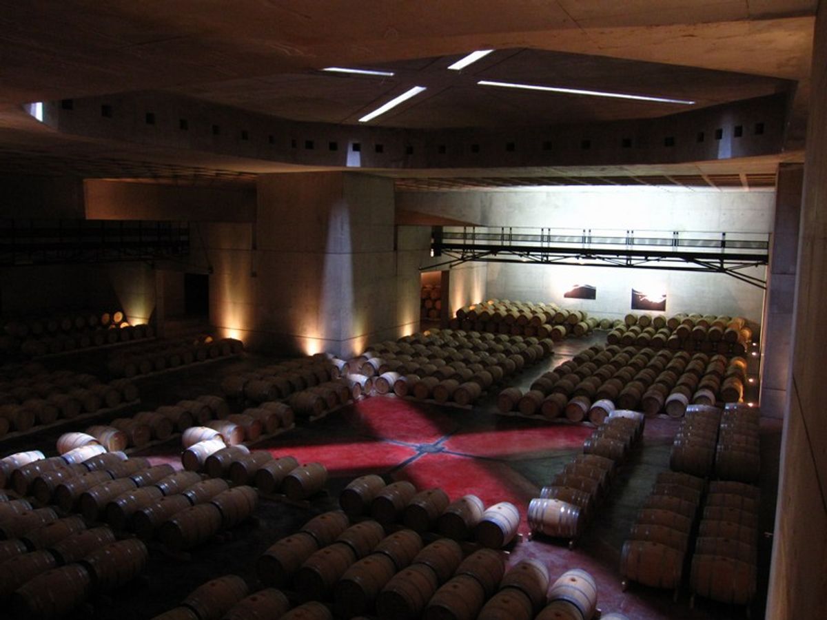 Mendoza Wine