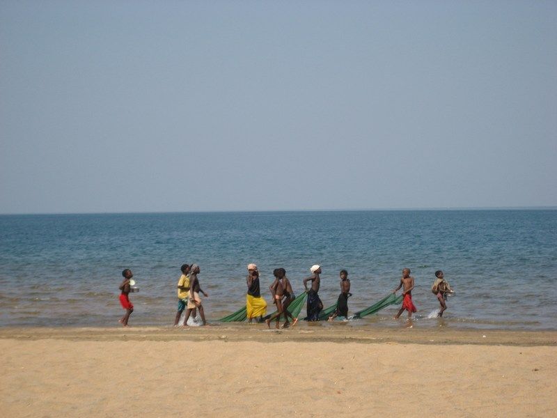 Senga V