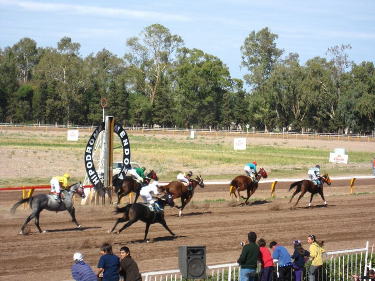 A Day at the Tracks