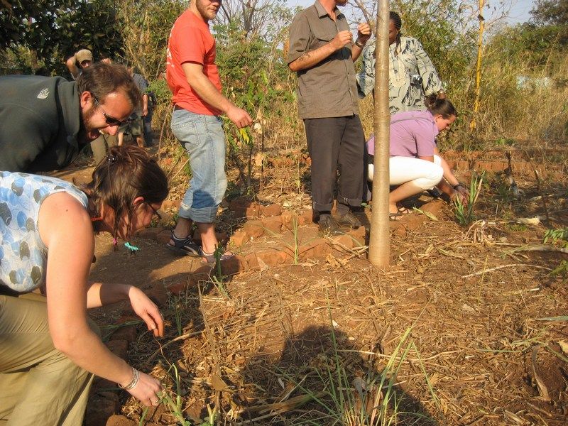 Permaculture IV