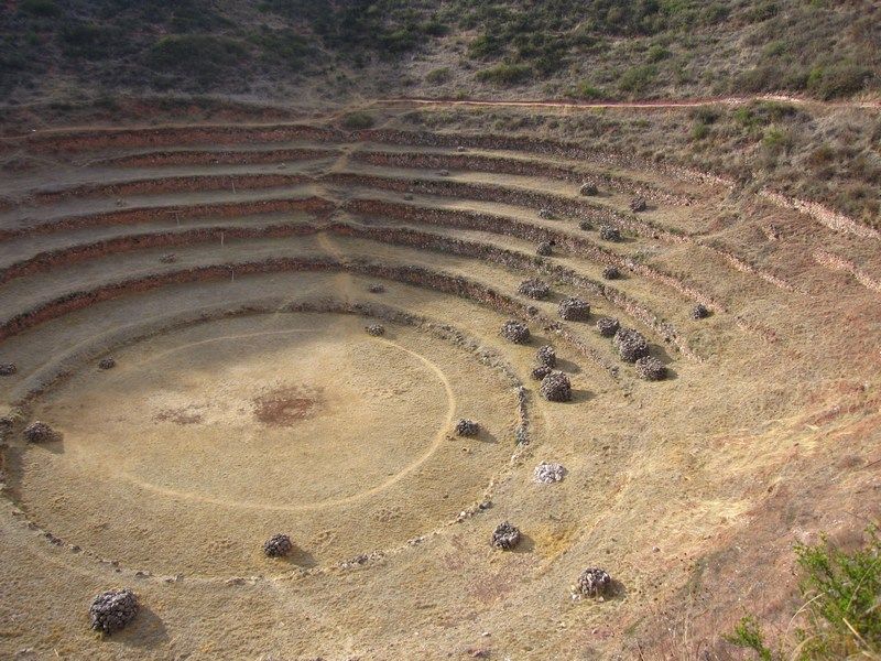 Moray