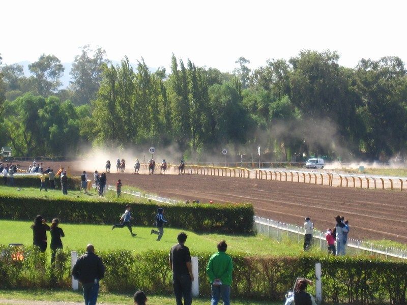 A Day at the Tracks