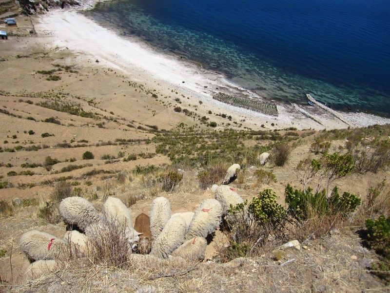 Isla del Sol