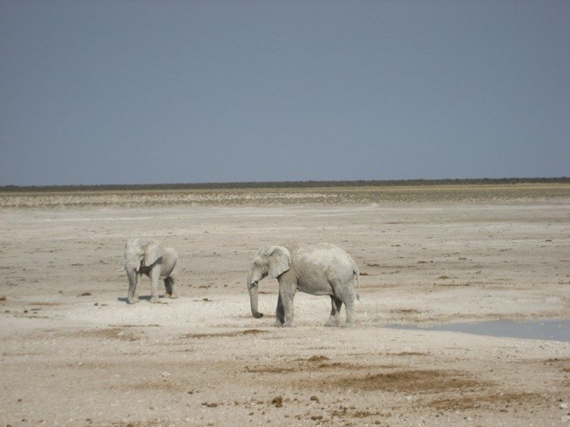 Etosha