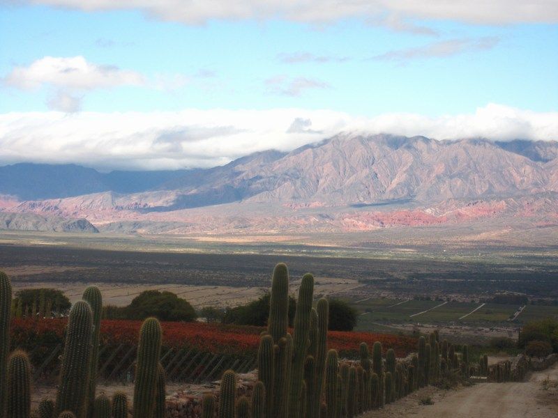 Cafayate